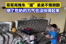 哥哥用推车“遛”弟弟不慎侧翻，使了吃奶的力气也没扶得起来图片