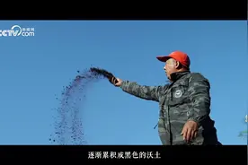 绿水青山间｜黑色沃土图片