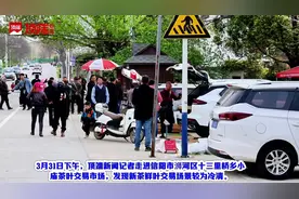 信阳毛尖尚未大面积开采，市场为何有大量低价新茶在售？图片