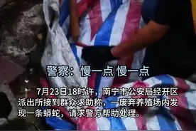 暖心警事丨智勇擒蟒除隐患图片