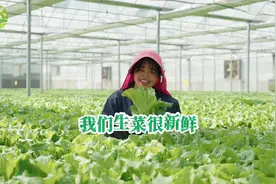 福山福水 一村一品｜国家农业产业强镇——马尾琅岐图片