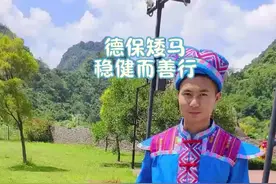 铸牢共同体 中华一家亲 | 德保矮马！小短腿大战功图片