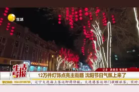 12万件灯饰点亮主街路 沈阳节日气氛上来了图片
