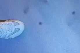 分享:头条文章怎么发小视频图片