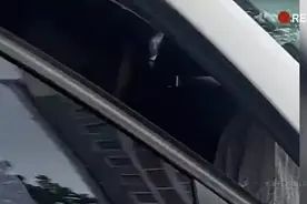 场面炸裂！公婆捉奸儿媳妇在车上偷情，高喊这就是30万彩礼娶来的图片