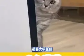 口算PK的反炸鱼系统正式升级#小猿口算 #万万没想到 #抽象图片