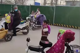 小孩界的劳斯莱斯出现了狗狗拉车接小主人放学！图片