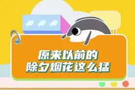 原来以前的除夕烟花这么猛，难怪外国人觉得我们是在打仗图片