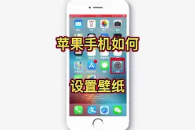 苹果手机如何设置壁纸，把相片设置为手机背景桌面，教你用手机