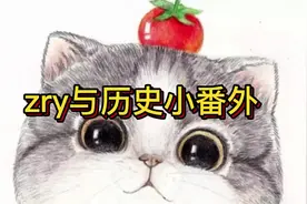 zry与历史合集