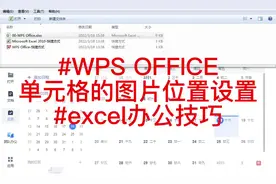 #excel办公技巧  #wps表格  Excel表格图片位置设置(DISPIMG)视频封面
